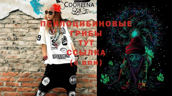 эйфоретик Шали