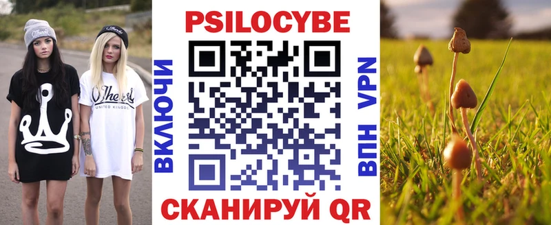 Псилоцибиновые грибы прущие грибы  купить наркоту  kraken вход  Никольское 
